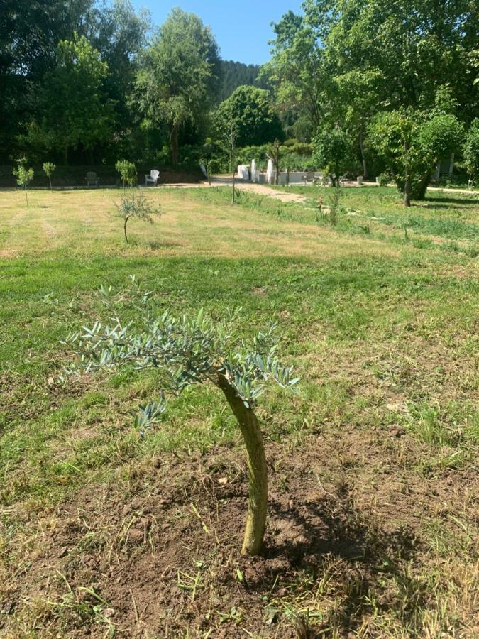 Clos Augusta 3 Hébergement de vacances